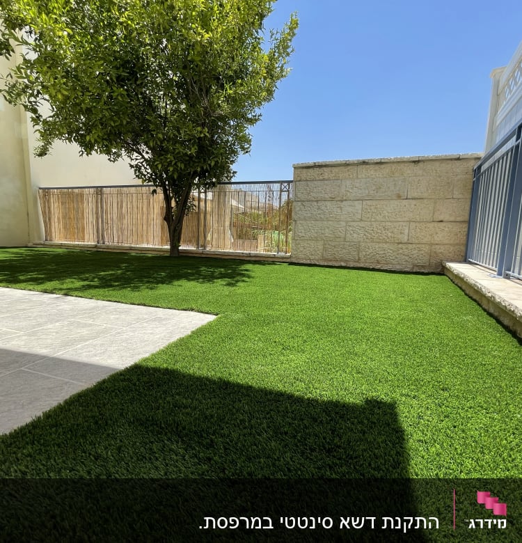 דשא ירוק ועץ בגינה מגודרת